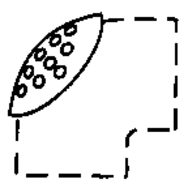 shop-image
