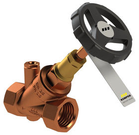 KEMPER WESER Freistrom-Absperrventil RG mit Entleerstopfen G1/4, IG DN50