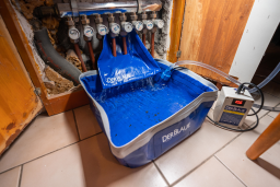 „Der BLAUE – Doppel-Rosette“